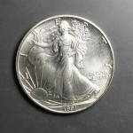 silver eagle front.JPG